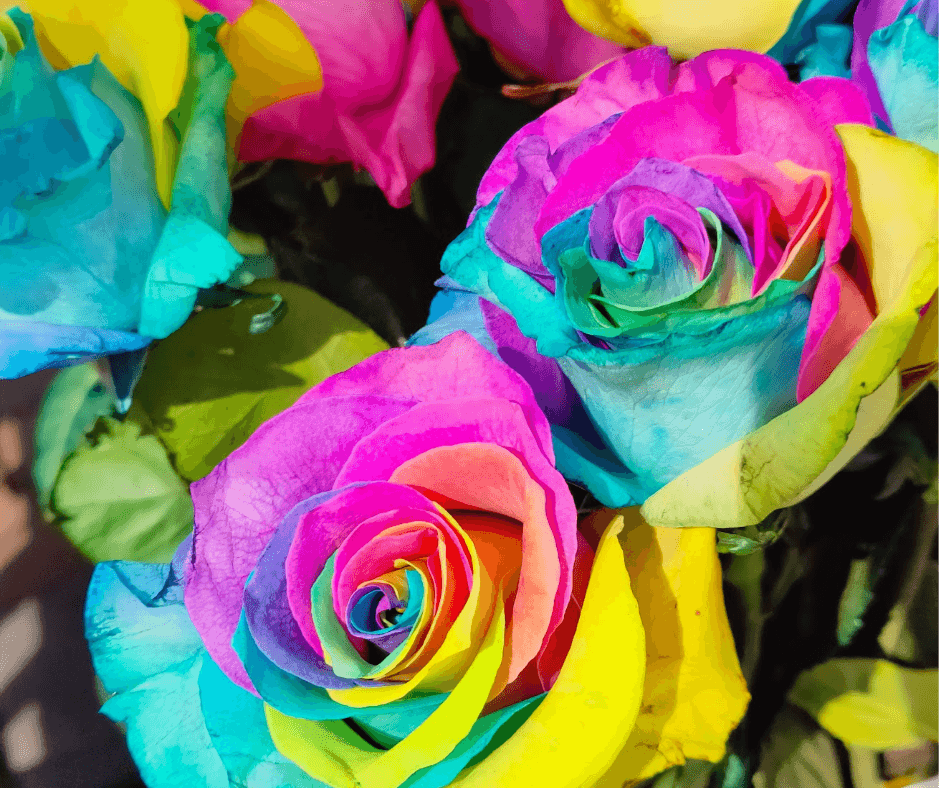 Colorful