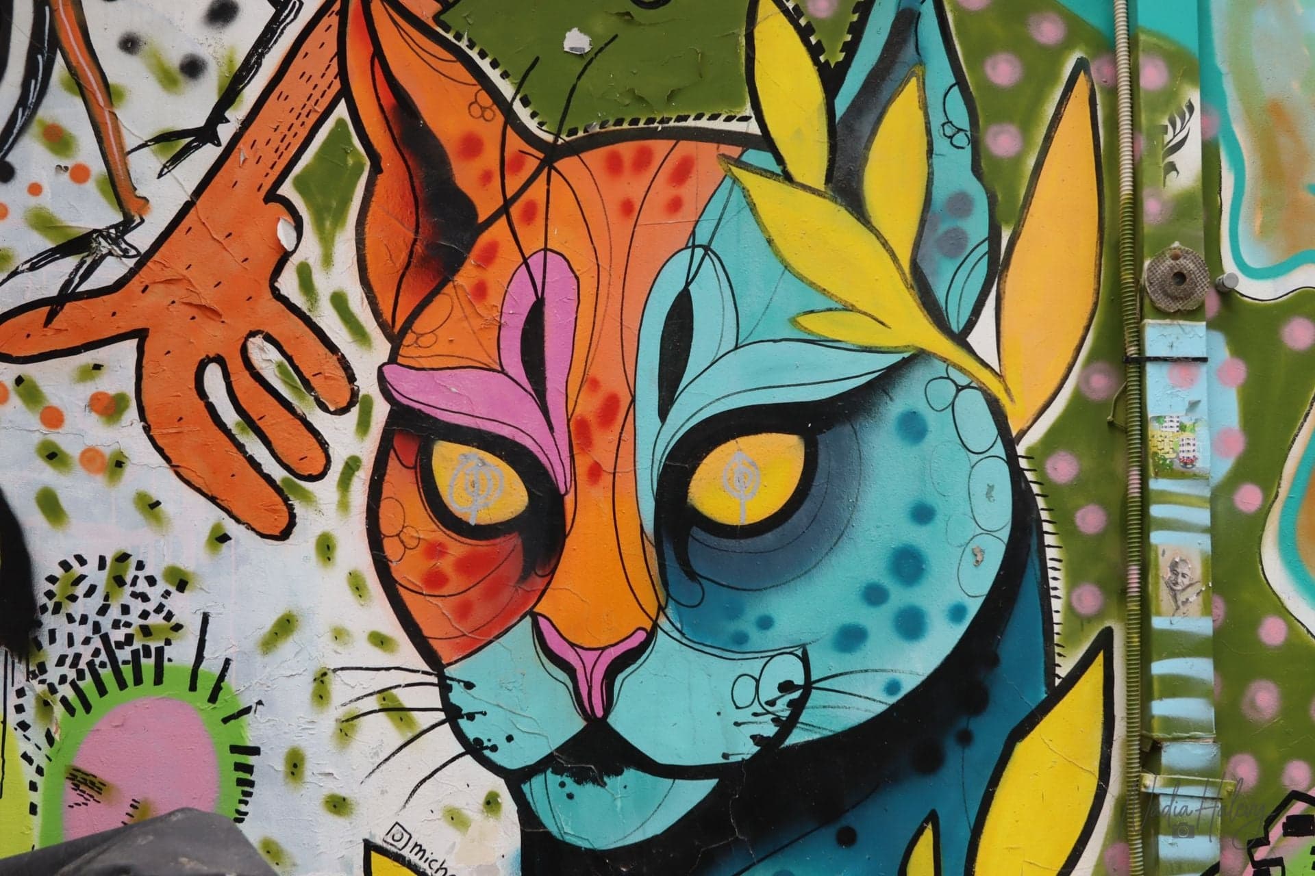 Street Cat